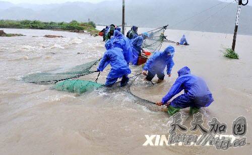 8月9日，福建省霞浦县牙城镇洪山村村民在抢救养殖的跳跳鱼