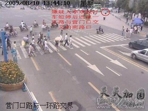 成都市公安局通报女大学生村官被殴致死案