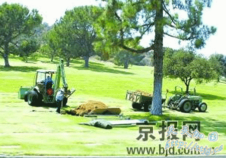 这个未被标识的墓地被认为是迈克尔·杰克逊的安息之所:这位明星已葬在好莱坞山庄的洛杉矶森林公墓的一棵高大的松树下,紧挨着他的祖母玛萨·布里奇的墓地,后者死于1990年。