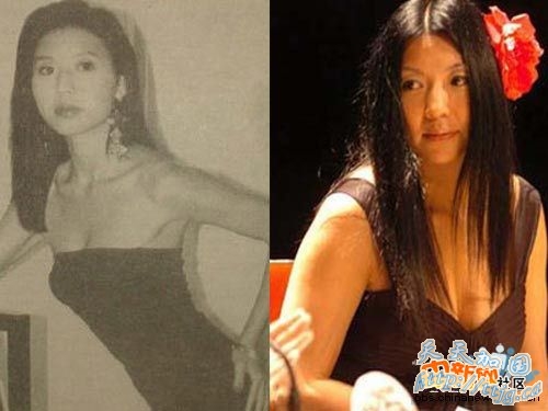 点击鼠标浏览下一个精彩主题