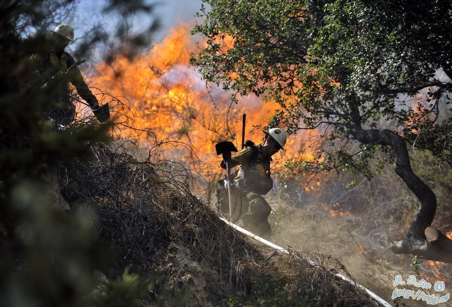 点击图片查看下一页