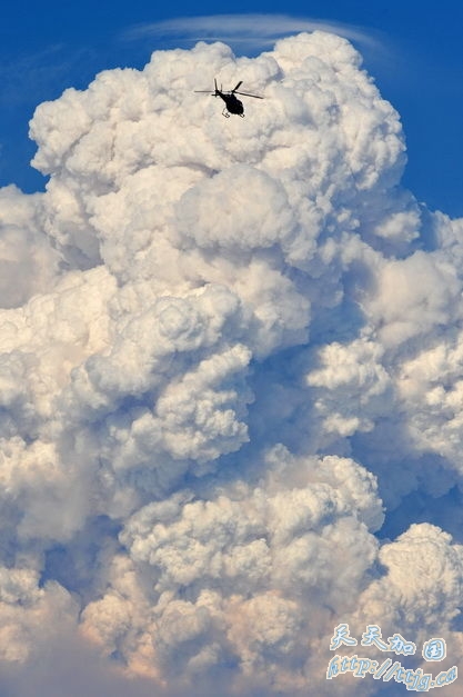 点击图片查看下一页