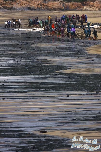 点击图片查看下一页