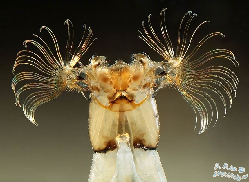 点击图片查看下一页