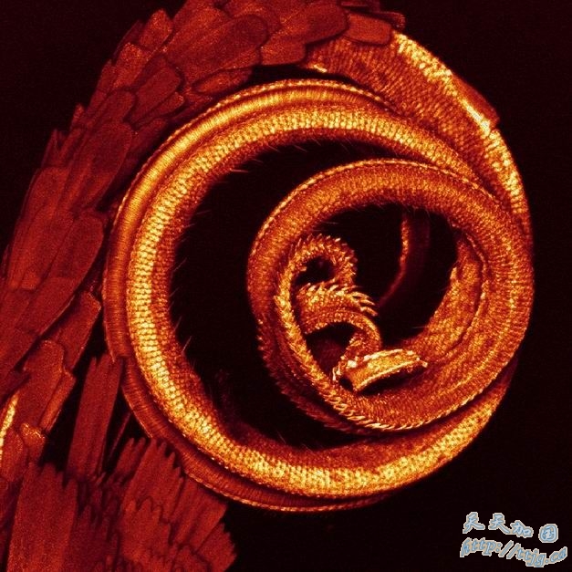 点击图片查看下一页