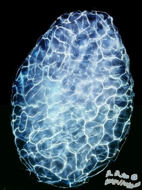 点击图片查看下一页