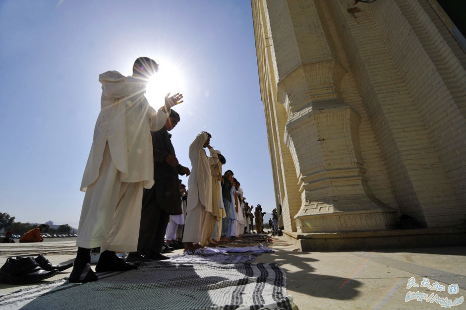 点击图片查看下一页