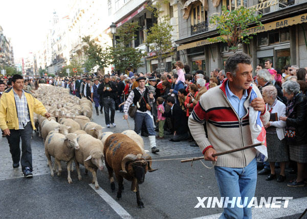  1025գ׶ǣͷȺǰ죬300ֻ򴩹ϣҵӣҪϵ·ߵõ 