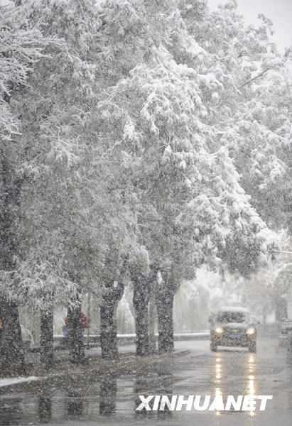 11月1日,汽车冒雪在道路上行驶。