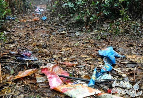 清朝湘军首领胡林翼家族古墓群被盗掘(组图)