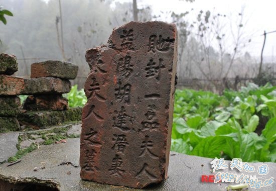 清朝湘军首领胡林翼家族古墓群被盗掘(组图)