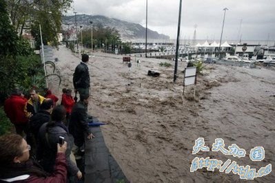 在葡萄牙马德拉岛首府丰沙尔,人们在安全地带凝视滚滚洪水