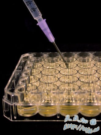 基因疗法或许将成为有效的抗艾滋病毒新武器