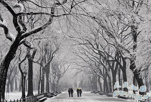 美暴风雪致3人死亡15万户断电 数百航班取消(图)