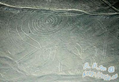 秘鲁飞机俯瞰神秘纳斯卡地画时坠毁 7人丧生(图)