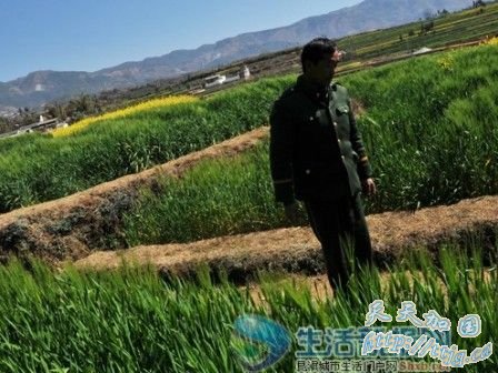 男子为治癫痫病掐死11岁男孩吃其脑髓(图)