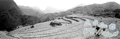 2000ܺ ݱϽھר̵ʡϴ