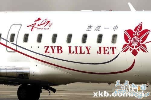 赵本山私人商务飞机曝光造价达3000万美元(组图)