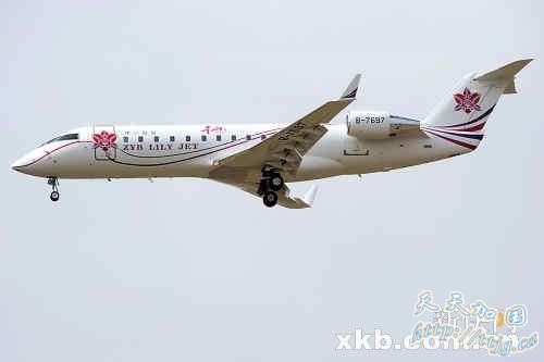 赵本山私人商务飞机曝光造价达3000万美元(组图)