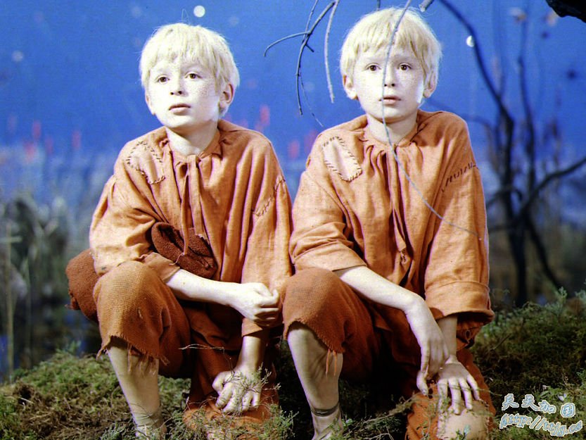 点击图片查看下一页