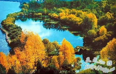 2006괺ڣйίĺ꿨˺ƽͼ