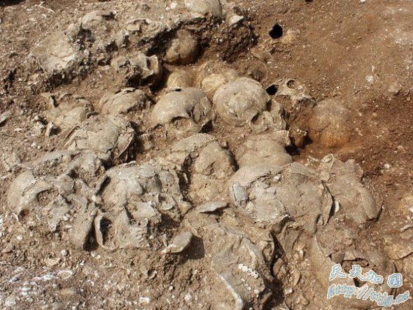 ӢѧӢֵ51ԳͷʬǵѾõ֤ʵǾǱն׵ĺ(ͼƬṩDorset
County Council)