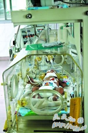 男婴遭弃身现多处切口续:为19岁母亲所为(组图)