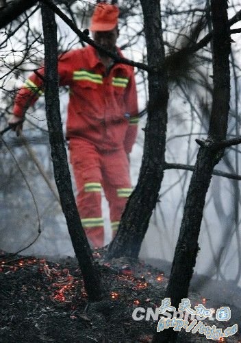昆明近郊安宁市发生森林大火 明火已被扑灭(图)