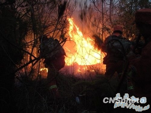 昆明近郊安宁市发生森林大火 明火已被扑灭(图)