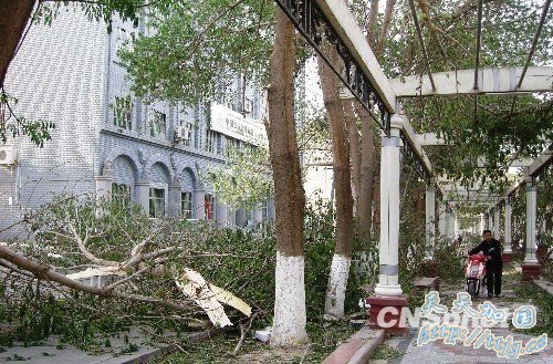 吐鲁番遭强风暴袭击 景观灯被连根刮断