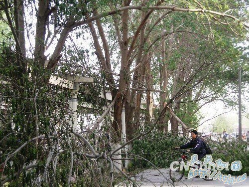 吐鲁番遭强风暴袭击 景观灯被连根刮断