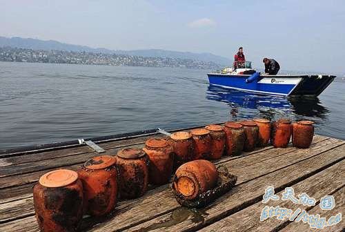 逾300骨灰瓮弃置湖底 瑞士安乐死