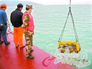 南澳1号文物或证中欧贸易明代之前即已发达