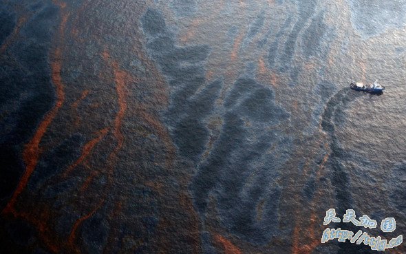 泄漏的石油 泄漏的石油