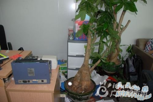 广州白云机场138航班延误 滞留旅客砸毁柜台