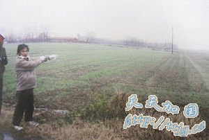 ӱȾϰ̲ ԳΪ5Ů(ͼ)