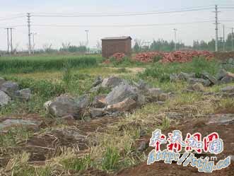 江苏徐州300亩即将丰收麦子被铲建安置房(图)