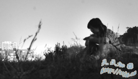 ĵصؿӴ 20С“Ͼ”(ͼ)