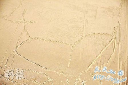 Angelababy写真走健康风答应黄晓明不再性感