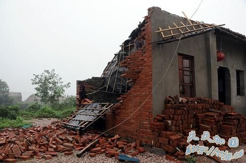 武汉遭龙卷风袭击农作物损失严重(组图)