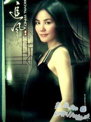 ���ƴ��԰�������׷��ϵ��