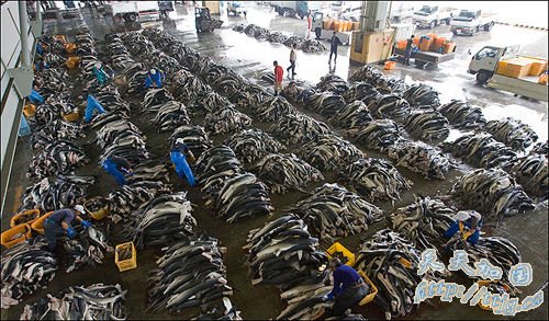 “Ṥ”״ع
ǧֻ(ͼ)