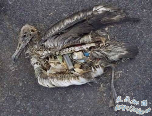 美媒列全球五大持续生态灾难 中国煤火上榜(图)