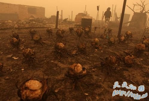 ʱ83գĪƻҮһ鱻ջٵľĲ˵أһĲѾյĿȫǡ