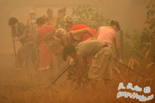 ʱ83գĪƻҮľھһ԰Ϯ