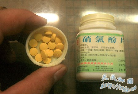 广西29只警犬服驱虫药后集体死亡(组图)