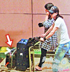 �����������س��������紫�鹲��������(ͼ)