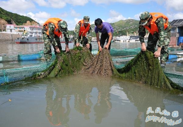 ����鿴��ͼ