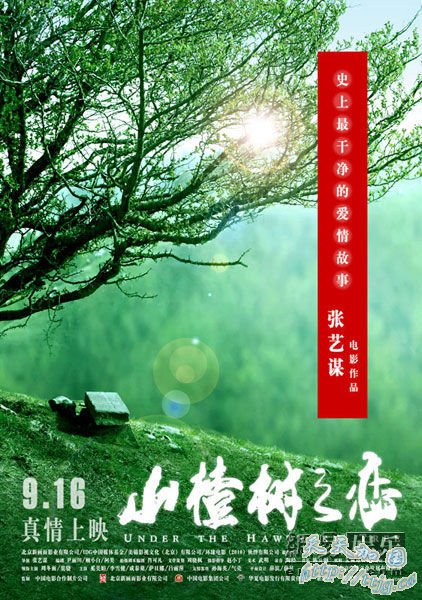 《山楂树之恋》海报。