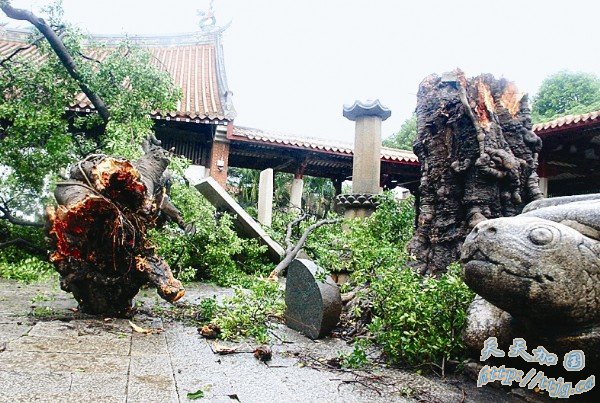 &ldquo;Ī����&rdquo;��ʯʨ��½ ��3��������������856��(��ͼ)